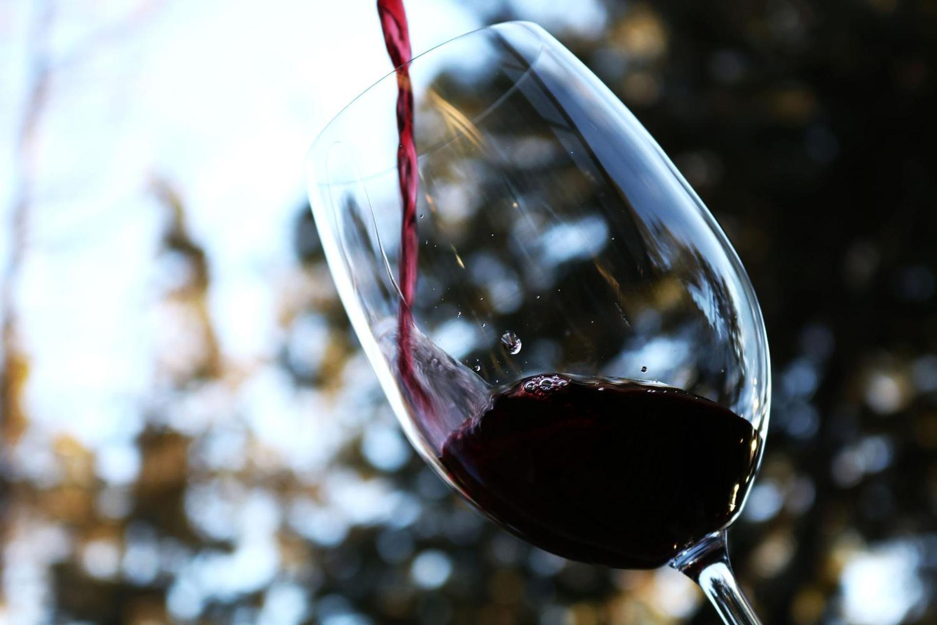 Calfuco Wine Hotel & Spa Puerto Manzano 外观 照片